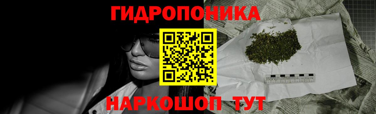 Конопля план Архангельск